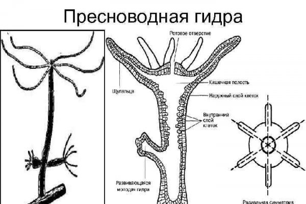 Кракен маркетплейс магазин